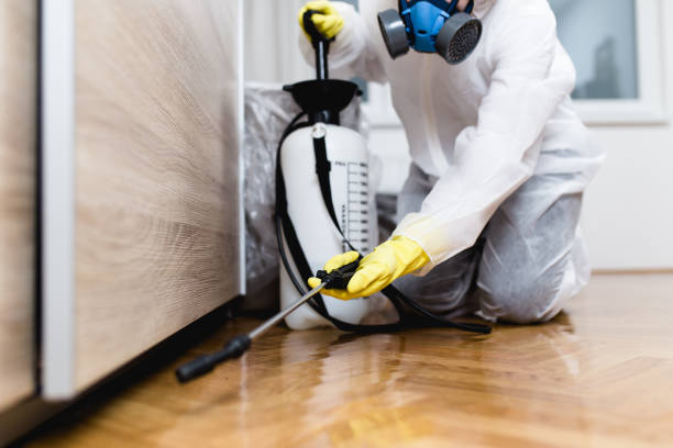 Best Wasp Removal Services  in Belmont, NC