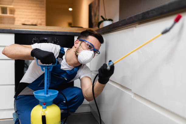 Best Pest Removal Services  in Belmont, NC