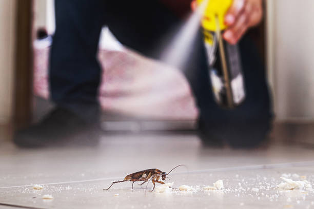 Best Cockroach Control Services  in Belmont, NC