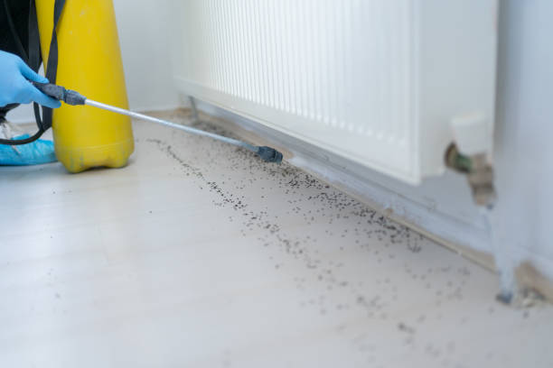 Best Bed Bug Extermination  in Belmont, NC